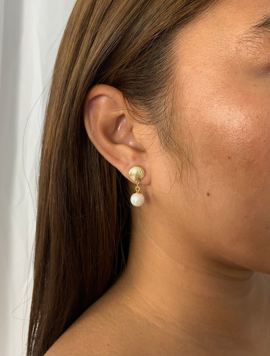 Tylee Pearl Shell Studs